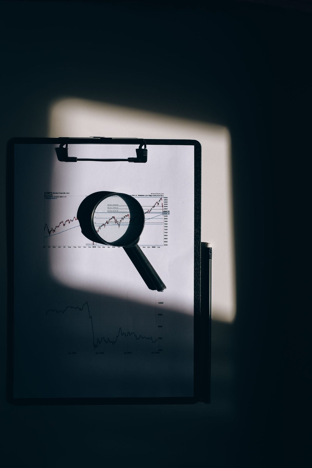 Sample: How to read a grading label